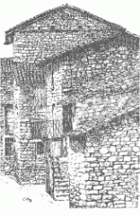 tassaro1