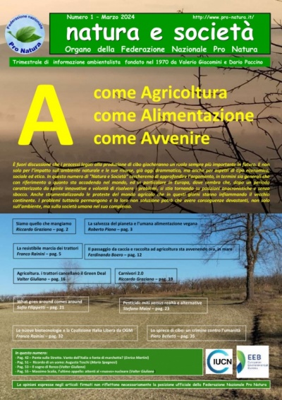 Clicca per aprire il pdf