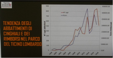 Cinghiali - Correlazione abbattimenti-danni nel parco del Ticino