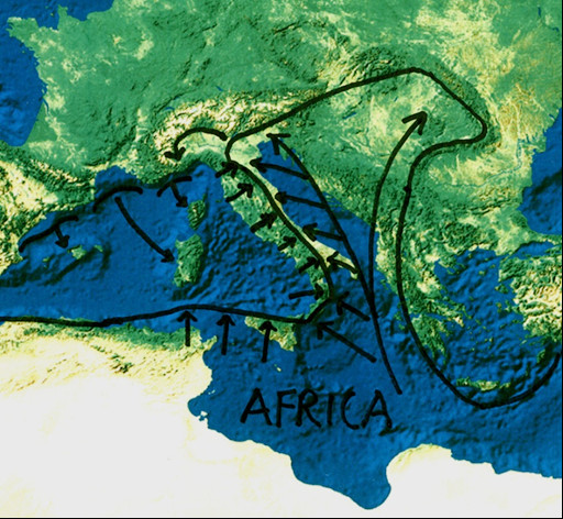 movimenti nell’area del Mediterraneo occidentale